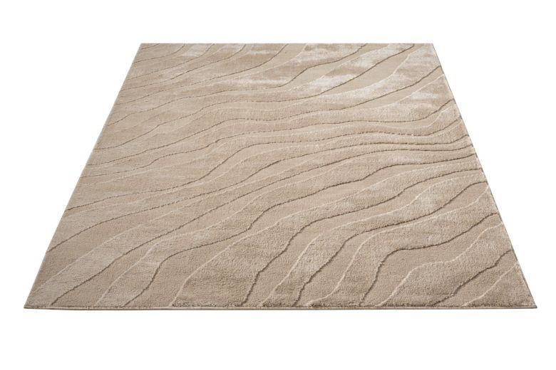 Carpet - 46586951