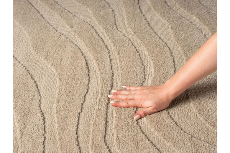 Carpet - 46586951
