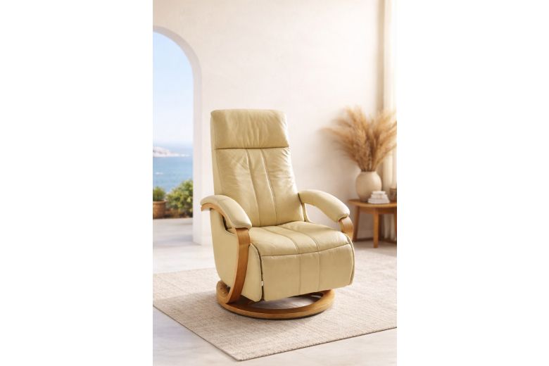 Δερμάτινο Πολυθρόνα τηλεόρασης - TV armchair