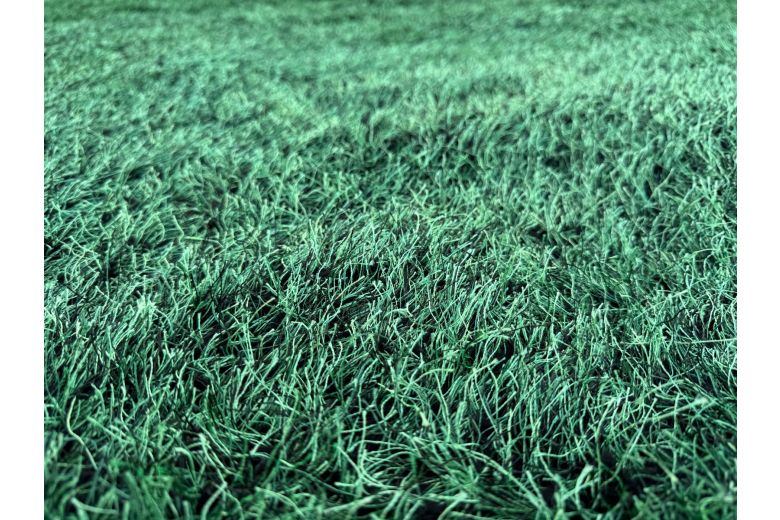 Carpet - Soft green