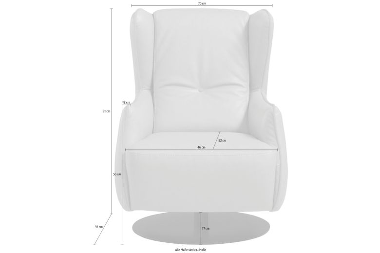 Leather chair - High-back designer wing armchair - Randy