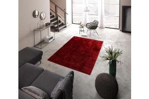 Carpet - 351992