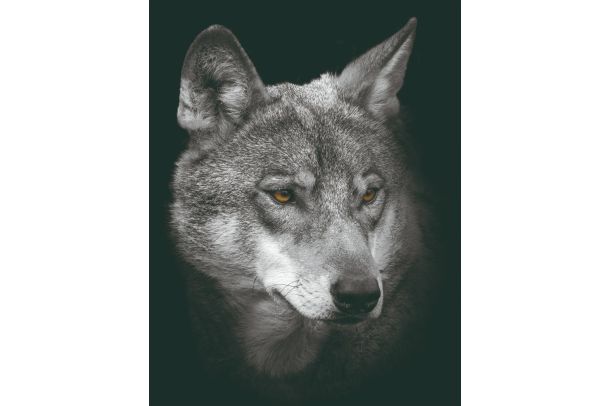A simple example image