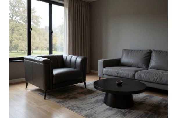 Leather chair - King